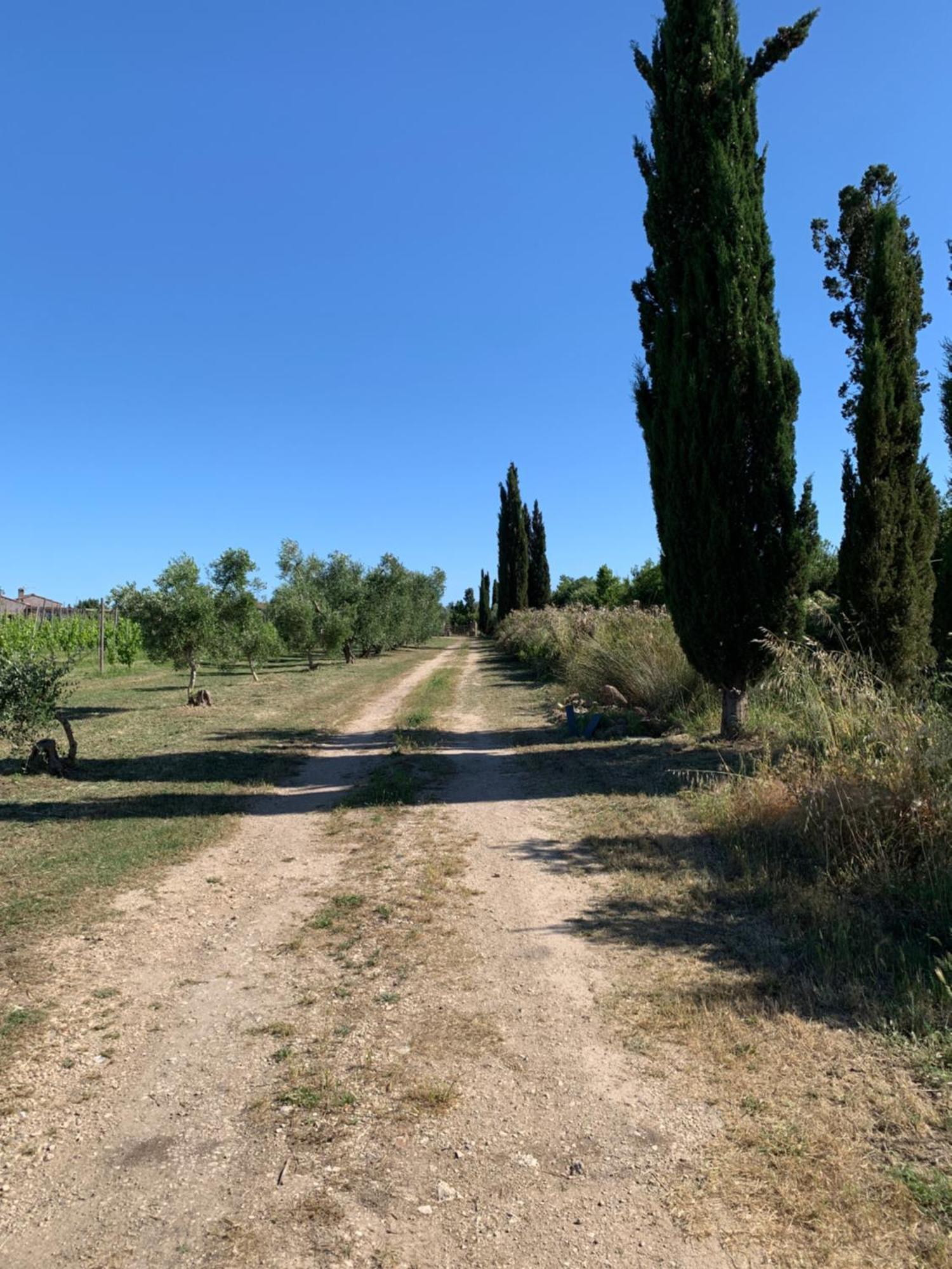 Canino Resort Fonte Vulci מראה חיצוני תמונה