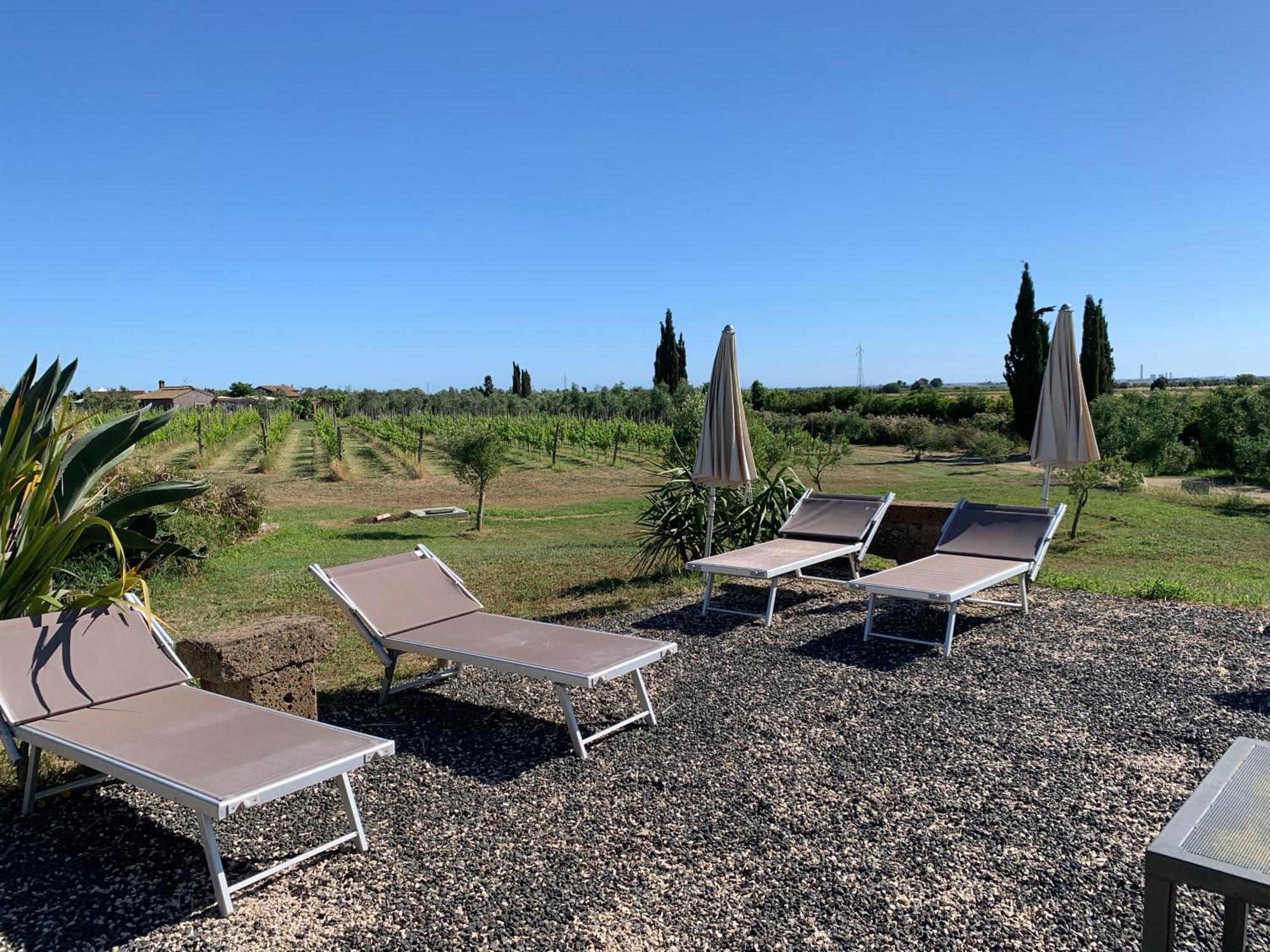 Canino Resort Fonte Vulci מראה חיצוני תמונה