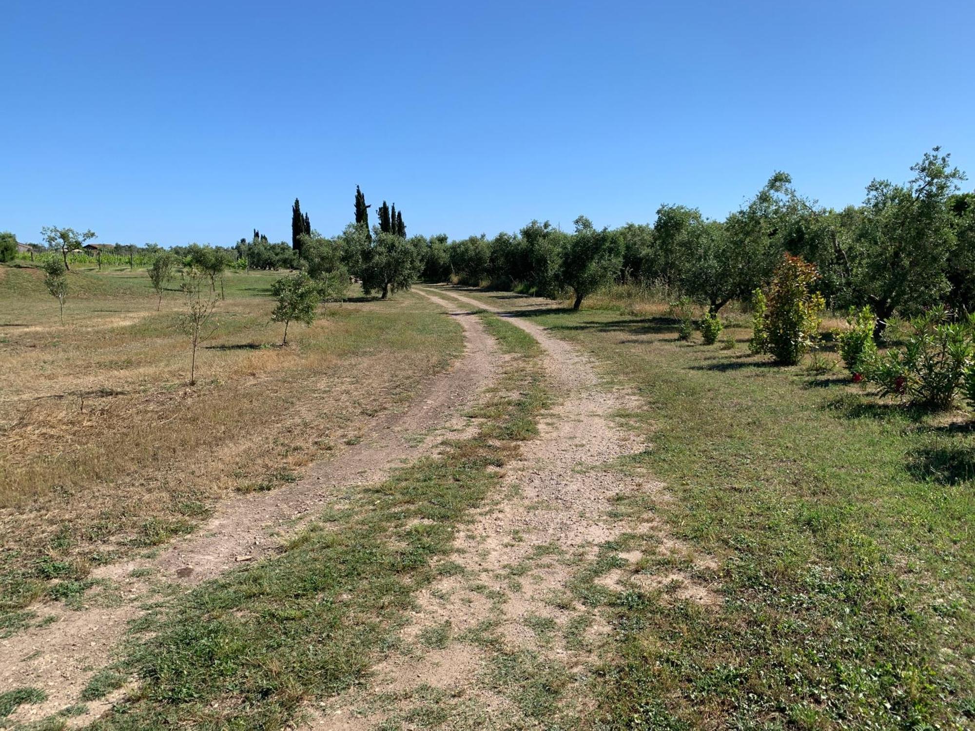 Canino Resort Fonte Vulci מראה חיצוני תמונה