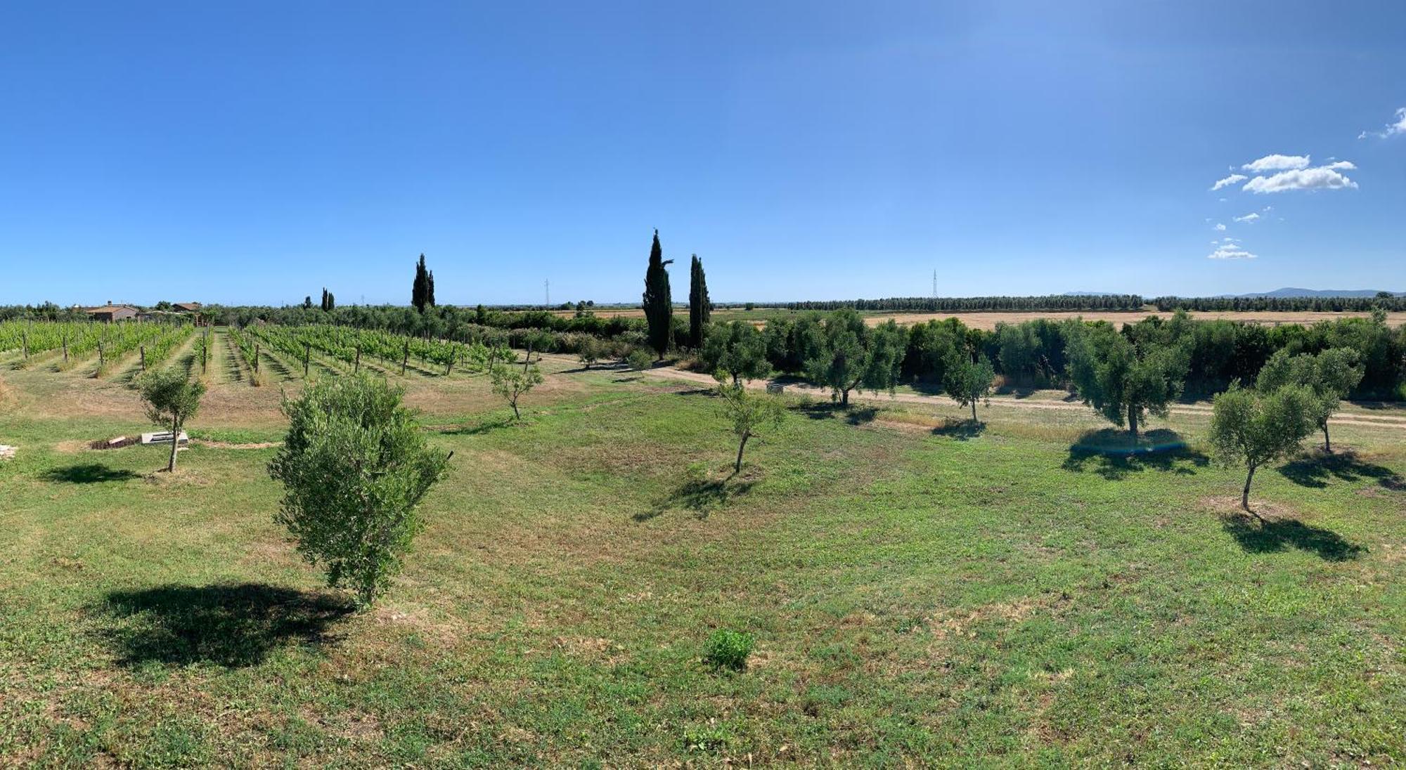 Canino Resort Fonte Vulci מראה חיצוני תמונה