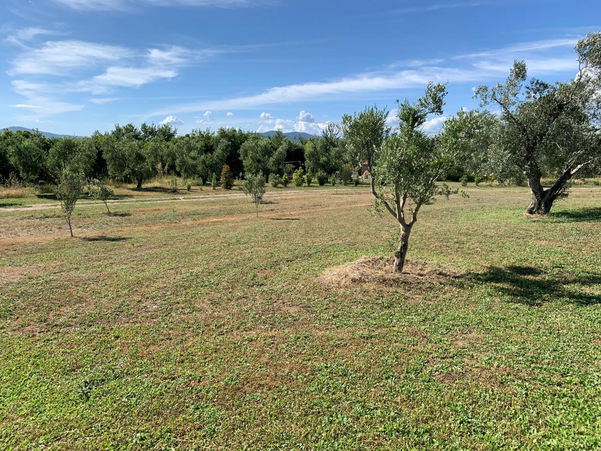 Canino Resort Fonte Vulci מראה חיצוני תמונה